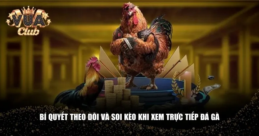 Bí quyết theo dõi và soi kèo khi xem trực tiếp đá gà