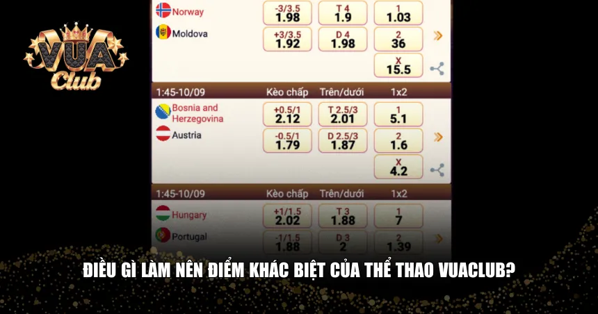  Điều gì làm nên điểm khác biệt của thể thao Vuaclub
