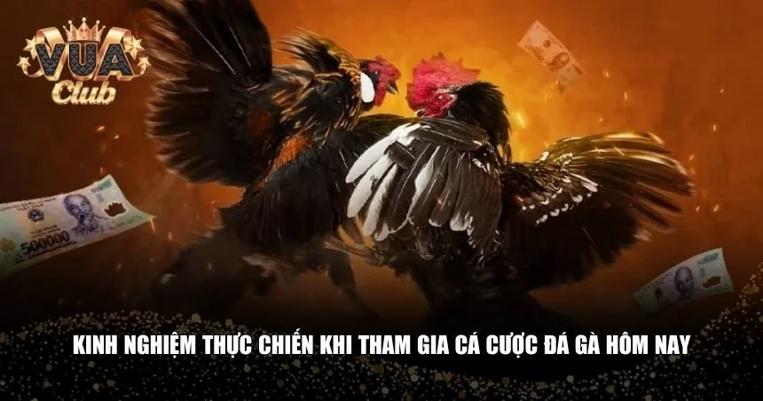Kinh nghiệm thực chiến khi tham gia cá cược đá gà hôm nay