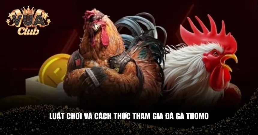 Luật cơ bản và cách đặt cược an toàn trong đá gà Thomo