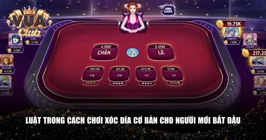Những quy tắc cơ bản trong cách chơi xóc đĩa