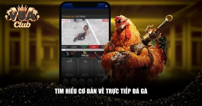 Người chơi cần nắm vững khái niệm và cách thức tham gia trực tiếp đá gà