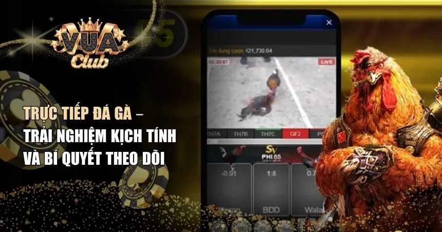 Trực tiếp đá gà
